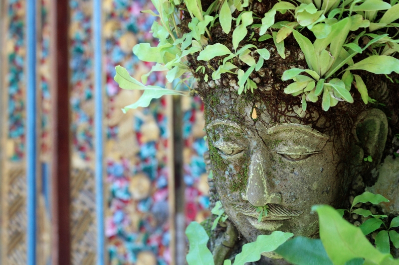 Balinese beauty, 2012.