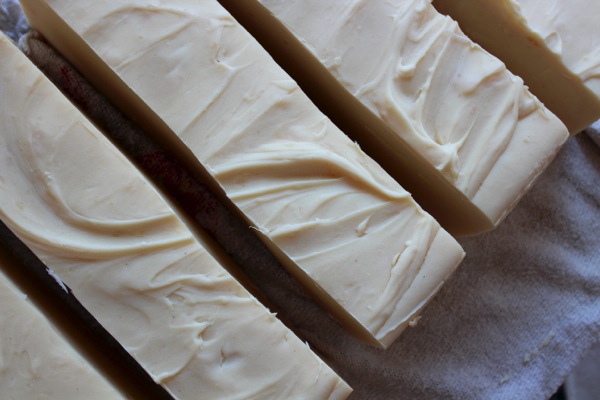 Rows of homemade Castile soap, ready for drying. Rows of homemade Castile soap, ready for drying.