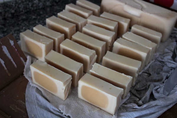 Homemade soap cut into individual bars, ready for curing. Homemade soap cut into individual bars, ready for curing.