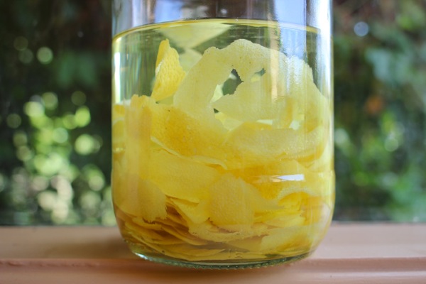 The lemon rinds in the limoncello alcohol solution