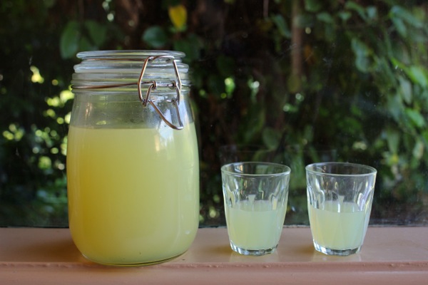 Shots of limoncello ready for drinking