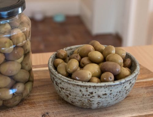 Pick and cure your own foraged olives, the traditional Sicilian way