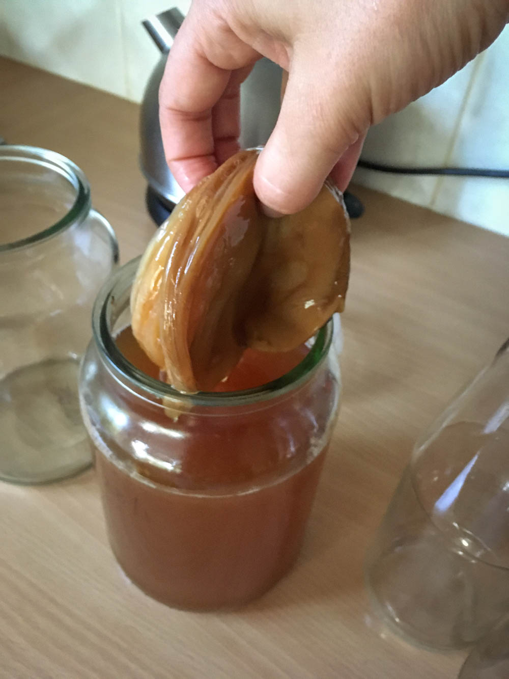 SCOBY isn't pretty, but it is magical.