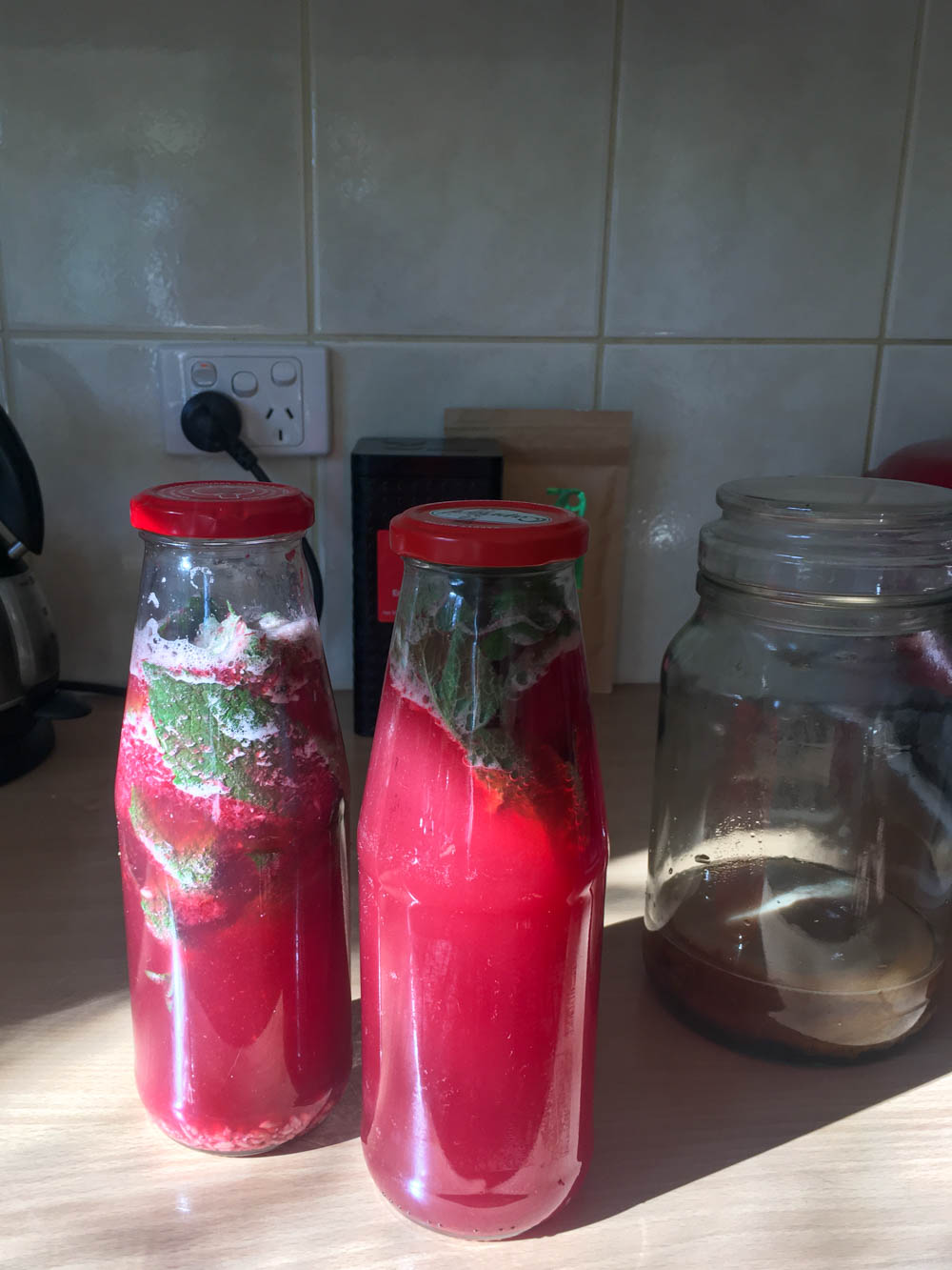 Pomegranate and mint kombucha brewing in second fermentation.
