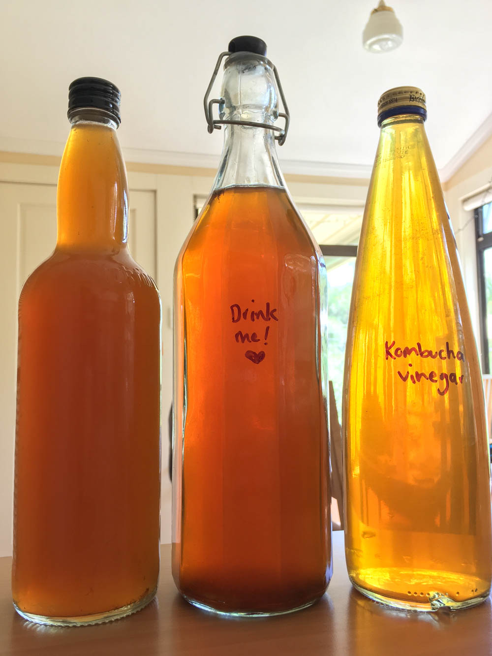 Storing kombucha vinegar for future use.