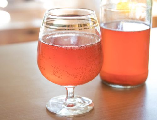 How to make kombucha at home: delicious, bubbly and great for your gut