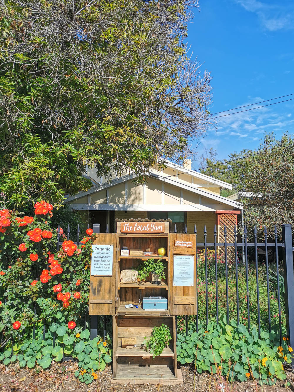 The Local Yum honesty stall in Adelaide.