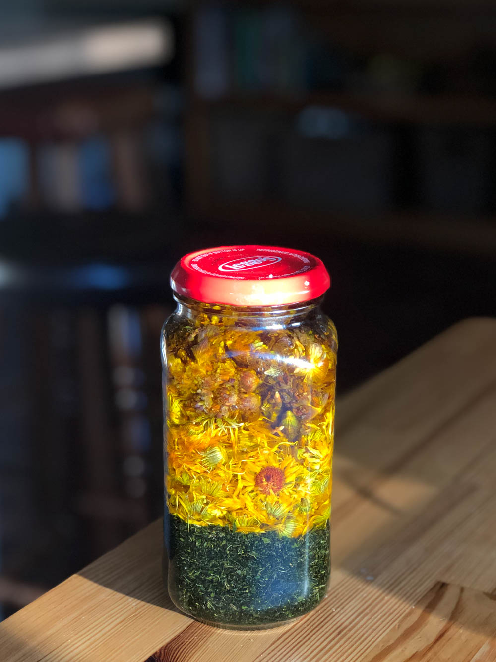 A jar filled with calendula flowers and other hers, infusing in organic olive oil - part of the process of learning how to make calendula salve.