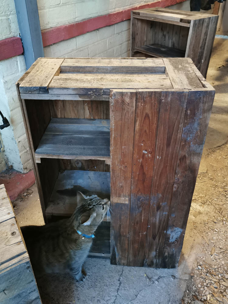 The battered old shelves as I found them.