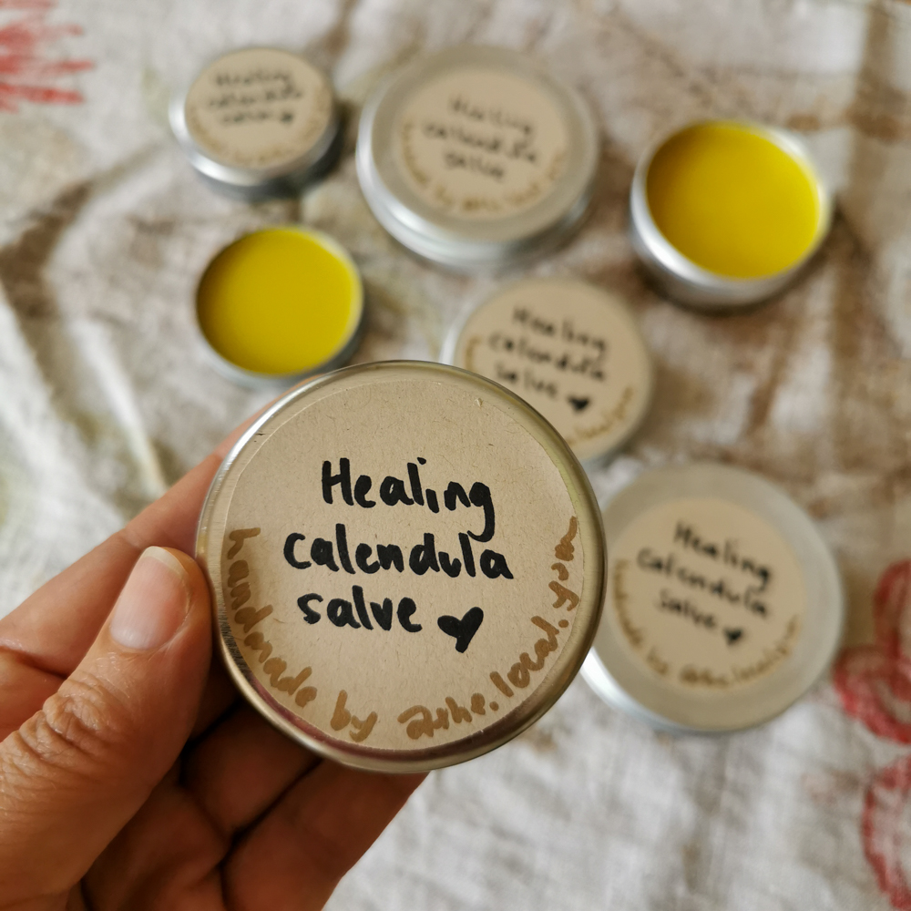 A pot of DIY calendula salve held in hand, with more pots in the background.
