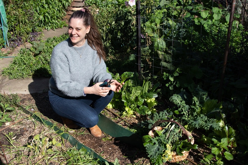 The falling shade in my garden.