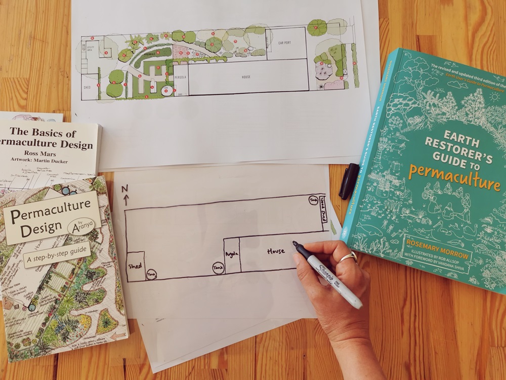 How to sun map your garden