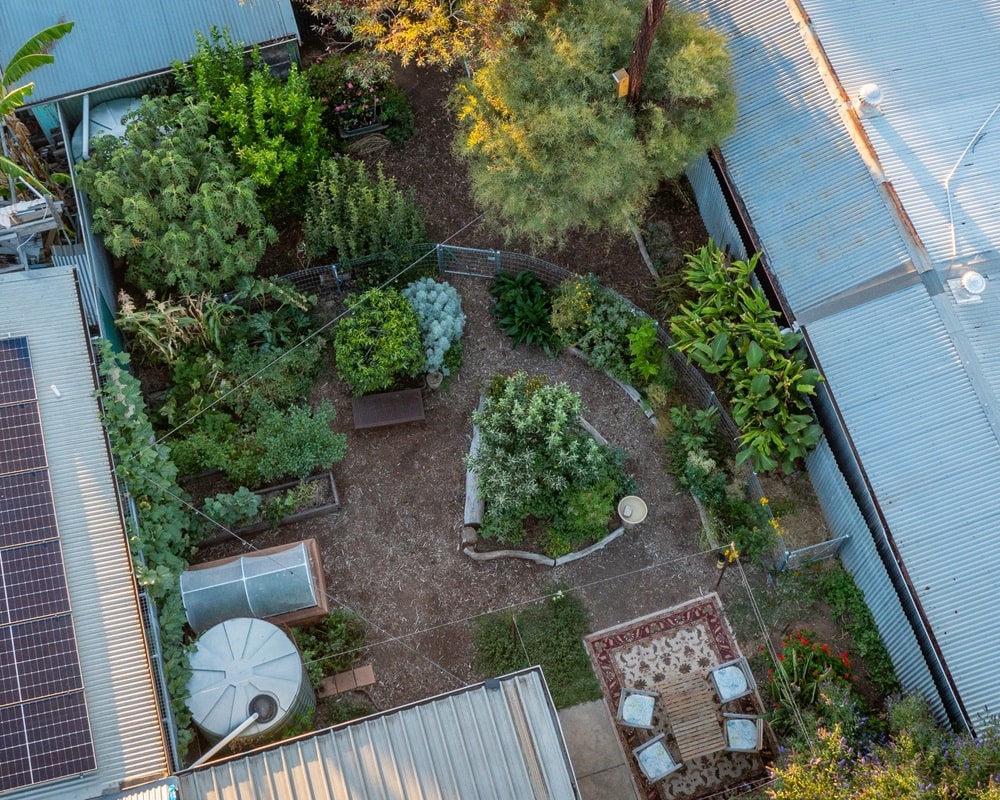 A drone shot of my urban Adelaide permaculture garden, showing the annual veggie patch and food forest