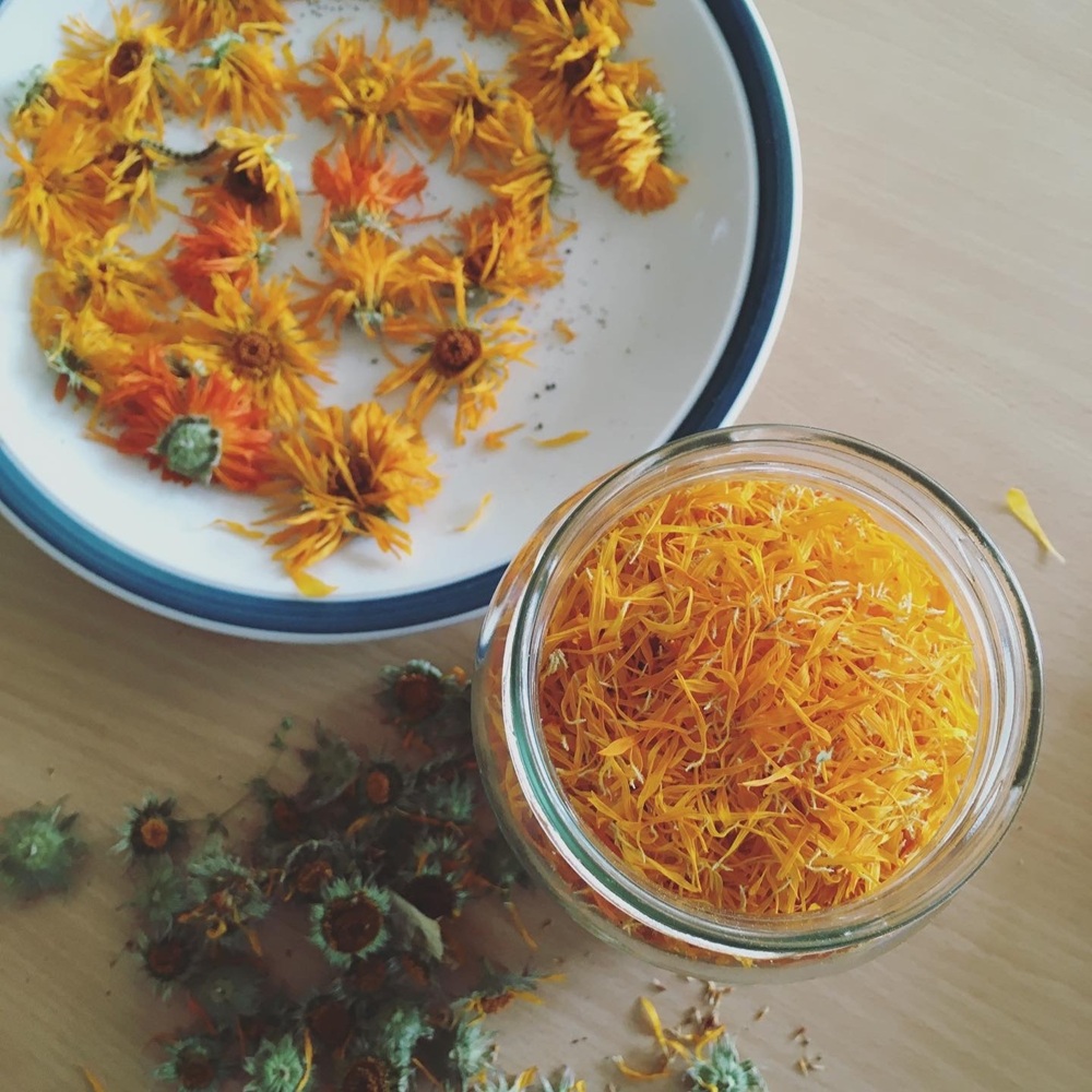 Dried calendula petals