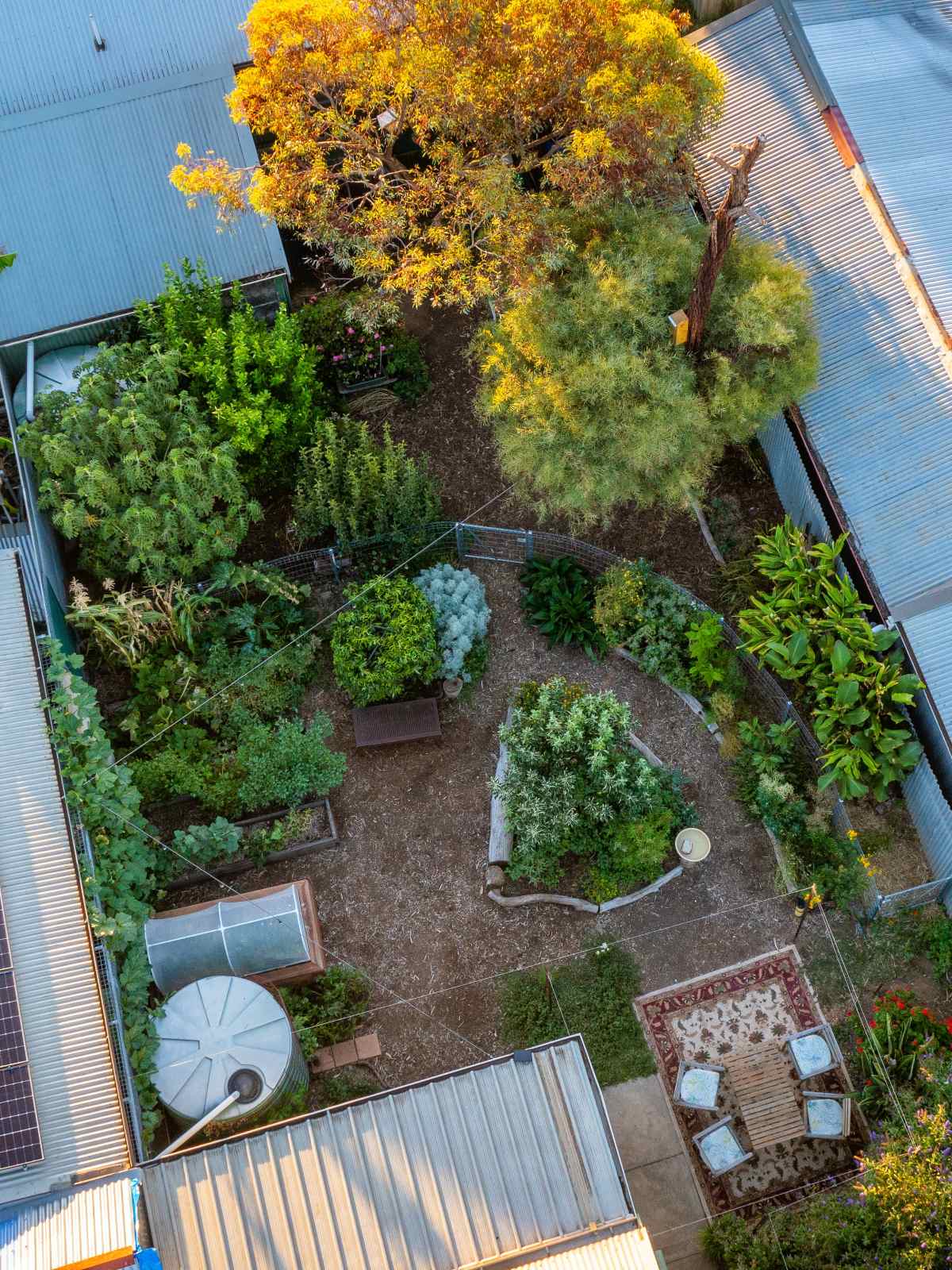 A drone shot of Koren's permaculture-designed backyard