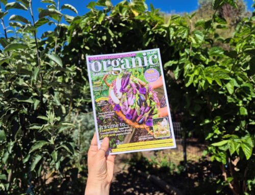 How to start an urban permaculture garden — Organic Gardener Magazine feature