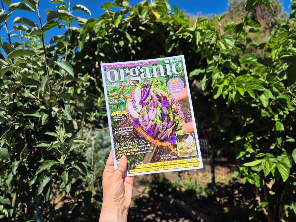 A white hand holding a copy of Organic Gardener Magazine, with a lush permaculture garden in the background.