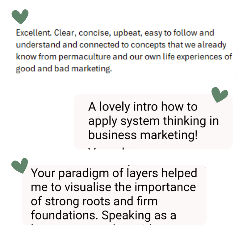 Screenshots of testimonials from happy past participants