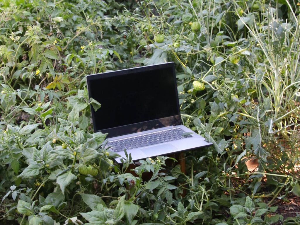 A computer sitting in the middle of a lush green veggie patch, a metaphor for the impact more ethical marketing tools can have when chosen by small businesses.